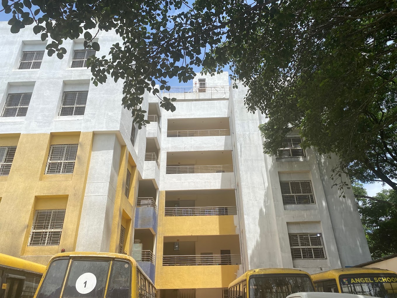 Angels Public School cover Image