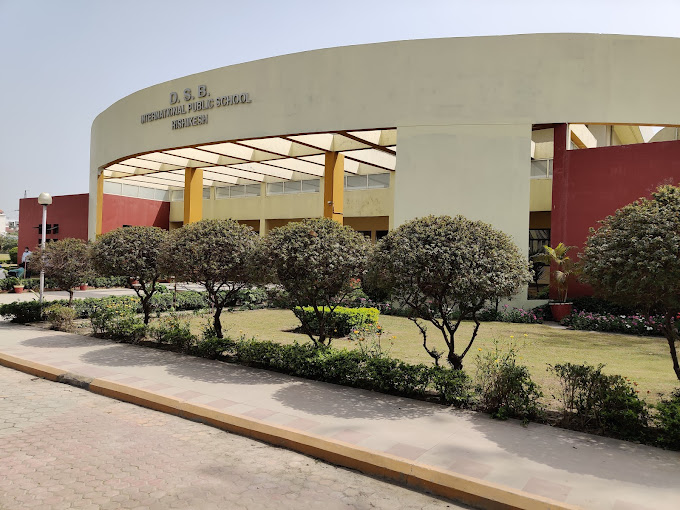 DSB International Public school cover Image